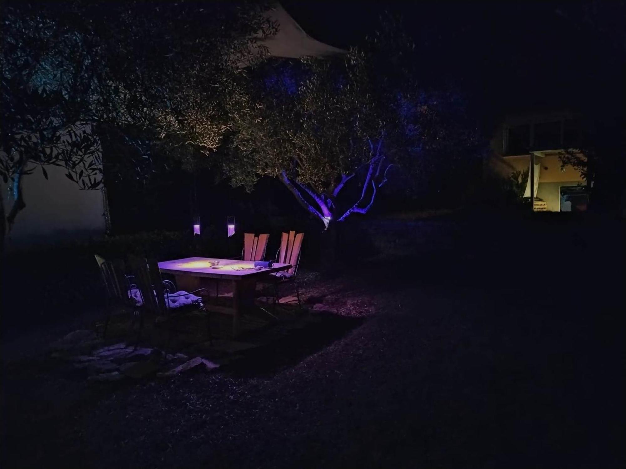 Oliver Art Apartment Porec Bagian luar foto